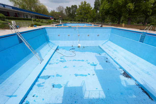 Best Flood restoration services  in Chesterton, IN