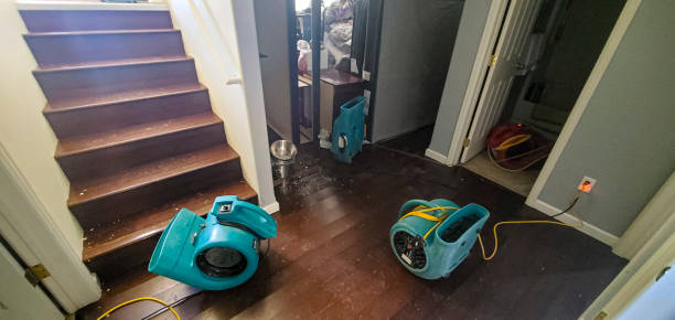 Best Carpet water damage restoration  in Chesterton, IN