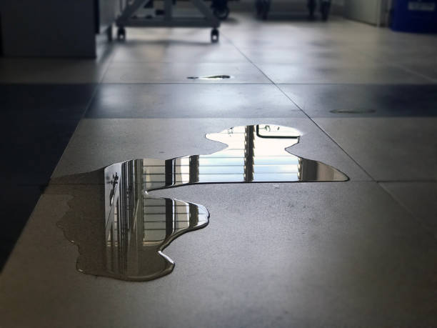 Best Water damage restoration near me  in Chesterton, IN