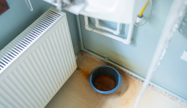 Best Flood damage cleanup  in Chesterton, IN