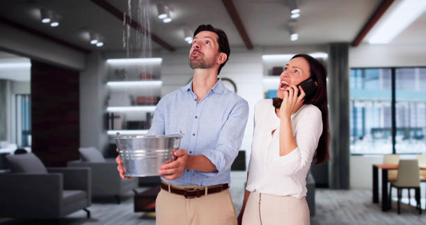 Best 24/7 water damage repair  in Chesterton, IN