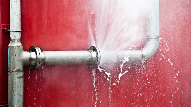 Best Flooded house restoration  in Chesterton, IN