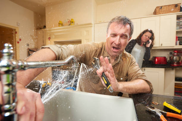 Best Water damage cleanup near me  in Chesterton, IN